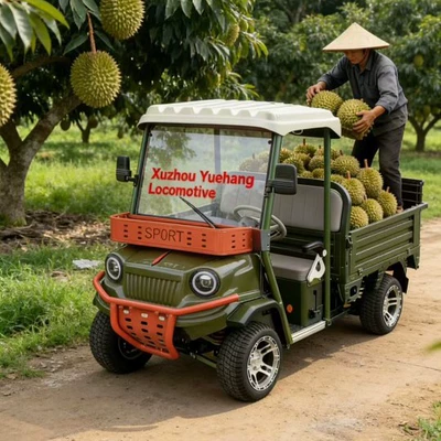 Electric Sightseeing Car, Golf Cart, Elektrikli qolf avtomobilləri
