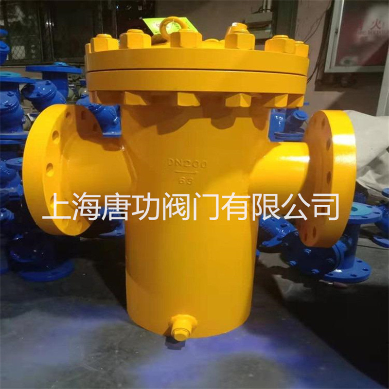 唐功YG07氨用蓝式过滤器 碳钢燃气蓝式过滤器 沼气蓝式过滤器