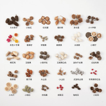 �ɹ�ľƬ����ɹ�������ֲ��˱�����ֹ�diy�ɻ����ϰ�����b�