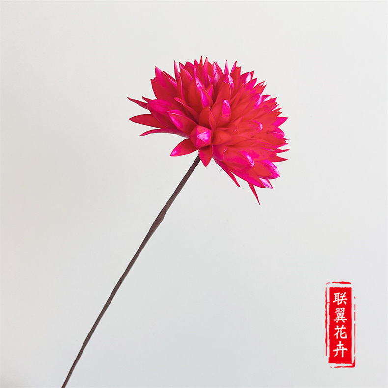 Flores Secas de Magnolia de Yunnan, Ramo de Magnolia de Mil Lengua, Flores Secas Combinadas, Decoración Suave para el Hogar, Fabricante de Ramos, Venta al por Mayor