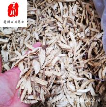 ɽ������ș��  ���酢 15��o�l���˓Q