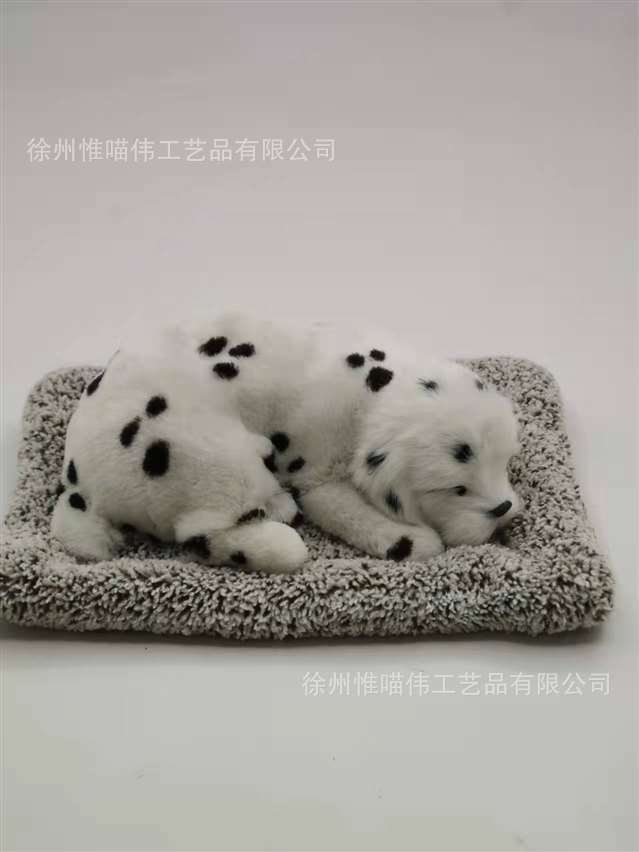 Gran Dalmatian ofrece un perro de pelo gris