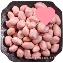 饱满大粒花生仁白皮年生花生米白沙农家新鲜24白沙大花生米新货