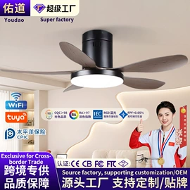 风扇灯;吸顶灯;吊扇