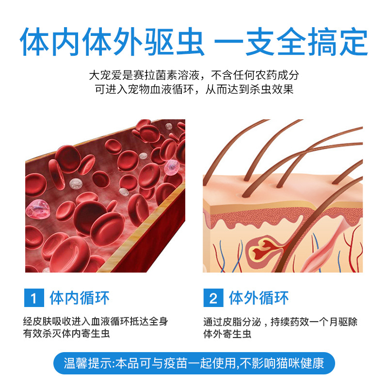 Big Pet Anthelmintic Drops Internal and External Insect Repellent for Cats, Dogs, Fleas, Ear Mites, Roundworms, Adult Cats and Kittens