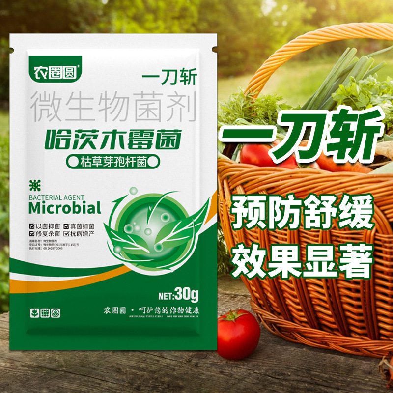 本物のハツカビ菌微生物殺菌剤、枯草菌病の殺菌剤|undefined