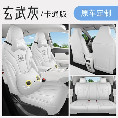 Suitable for Geely Xingyuan Special — Four Seasons Pad - xuanwu-gray-cartoon-version-remarks