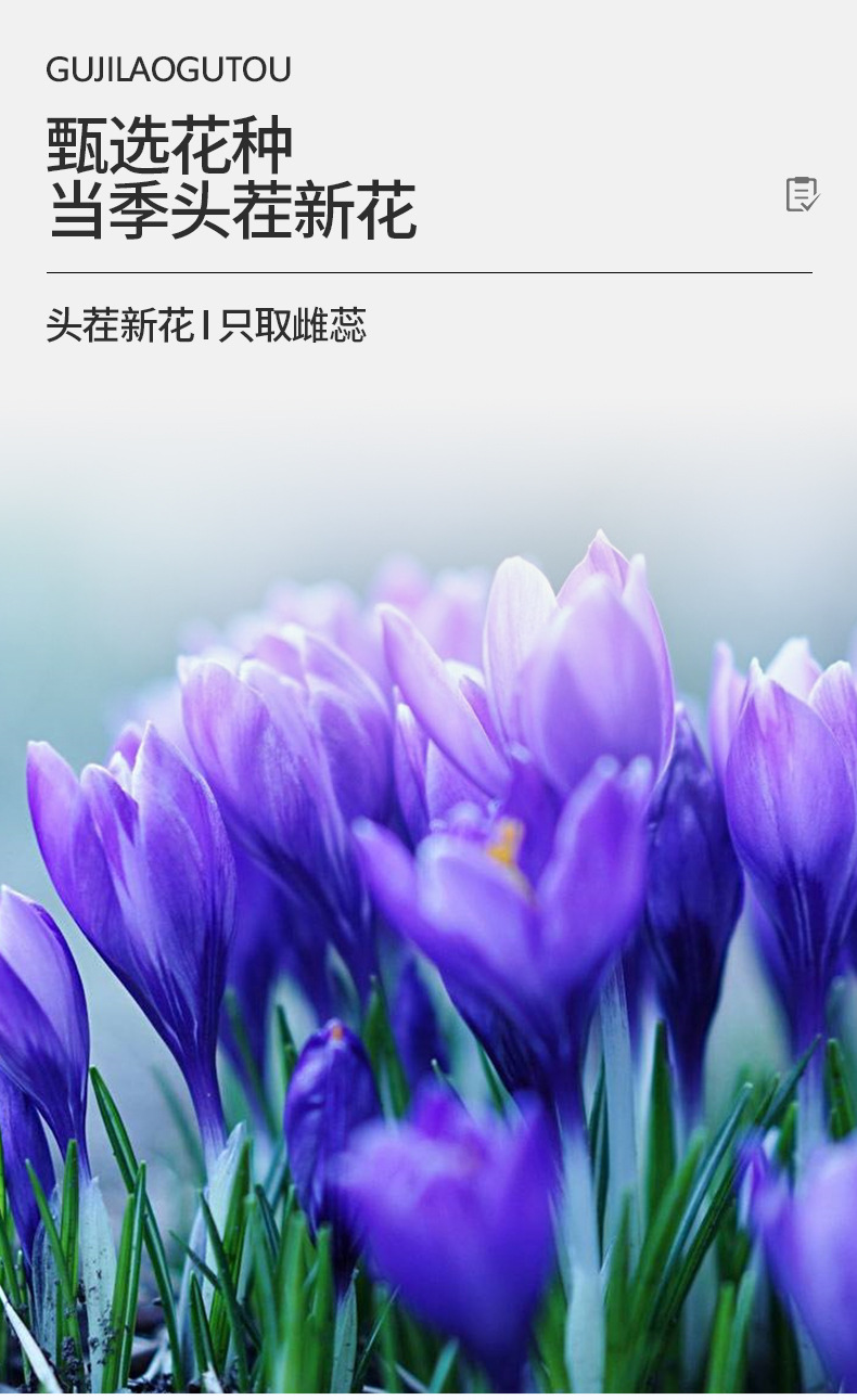 Saffron Crocus Flower Tea Tibetan Saffron for Women Gift Box Herbal Beverage key features