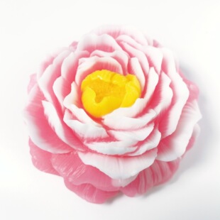 ����r���ֹ����¼�������������޹���ֶY�YƷ�F؛���l