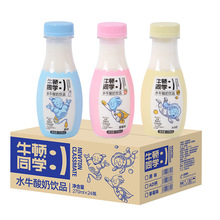 新品水牛酸奶饮品生牛乳发酵酸奶饮品270ml整箱牛奶批发