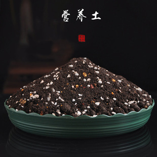 �� �X���� ���������ֲ���������{�����ɽ�ҳ������䷽��