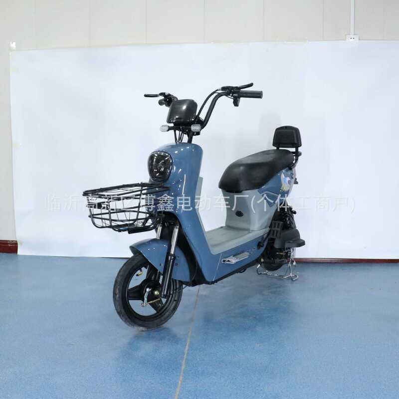 Cross-Border Factory Direct Sales Electric Vehicle Factory Low-Price Supply Battery Vehicle Wholesale Foreign Trade Electric Bicycle Double Vehicle