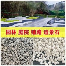 5斤灰色鹅卵石黑色景观砾石水洗石日式庭院枯山水造景灰石子米石