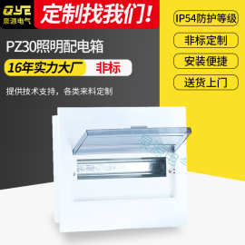 厂家定制泉源电气QYEPZ30多规格照明配电箱定制15回路家用照明箱