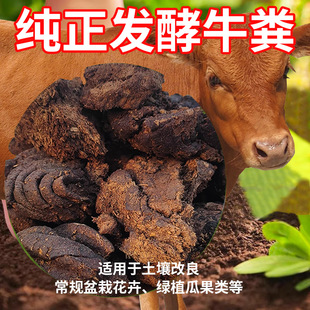cow dung fermented organic fertilizer for growing vegetables and flowers farm organic fertilizer cow excrement melon and fruit breeding cow dung
