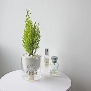 �k��������Gֲ�҃Ȼ�С�����ļ��׻�����՚�ˮ�Bֲ����辰