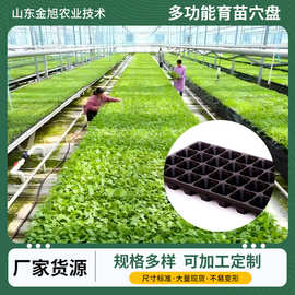 绿化种植育苗穴盘批发家庭园艺蔬菜育苗盘pet长方形林木育苗盆