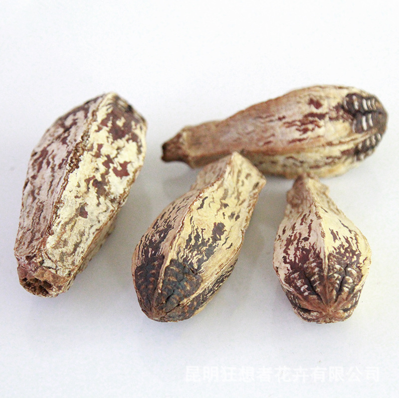 Quả Khế (3 cái trong một túi)