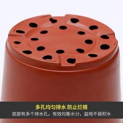 Factory direct sales two-color flower pot PP simple soft plastic seedling nursery home gardening succulent flower pot wholesale manufacturer