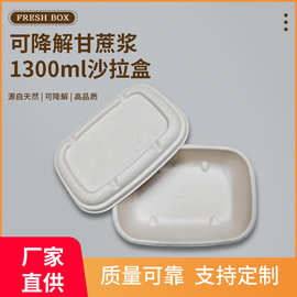 1300ML沙拉盒子春游野餐盒户外露营盒果切打包盒水果寿司轻食餐盒