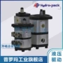 土耳其液压20a10a齿轮泵