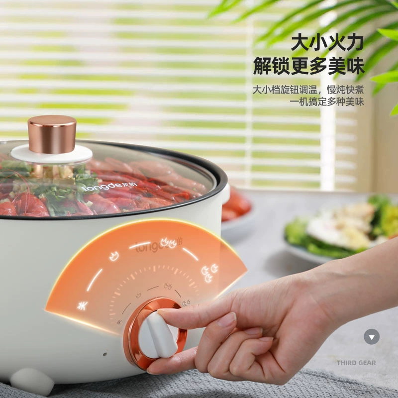 Многофункциональный электрический горшок Daifalong LD-HG313G, бытовая 3.0 л двухскоростная электрическая плита