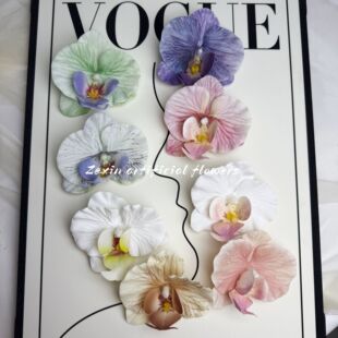 ����Ȼͬ�߅�����m����l�AŮǰ�~��߅�����l����߅�ȼ��^���l