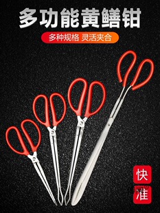 �S�X�A�X�~�Qץ�~���q���r�S���з�A���Q�ӷ��������s��