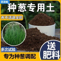 ネギを植える専用の土のベランダは野菜を植えます。