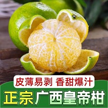 广西皇帝柑新鲜现货现发清甜多汁2/3/5/9斤一件代发包邮整箱批发