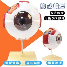 ���w����ģ�� ����̌W�x�� ģ�ͷ��� �ɲ�ж�OӋ