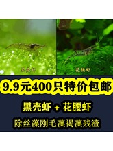 �ښ��r�����r�^�p�r�����r����r�����r���AС�L�۳��z�儂ë��