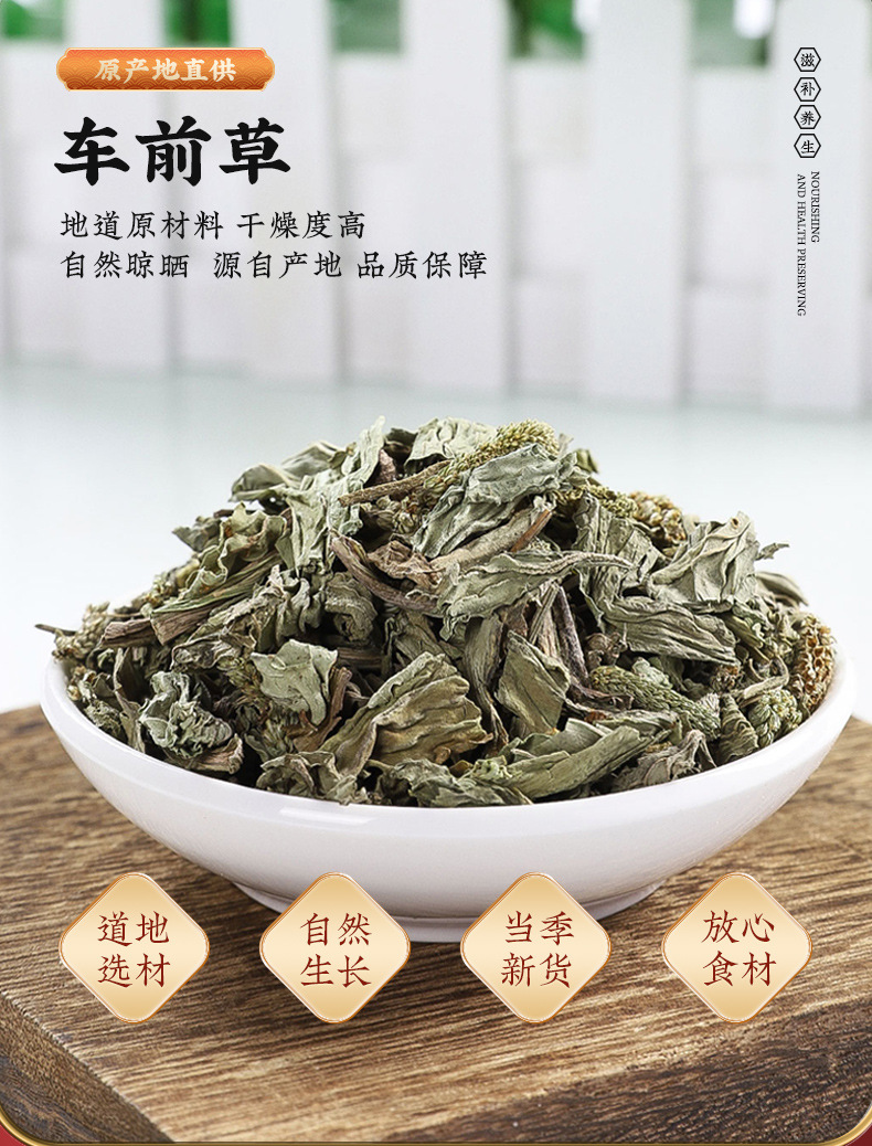 Dried Plantain Herb Che Qian Cao Whole Herb Tea and Decoction Herb 70g Bag overview