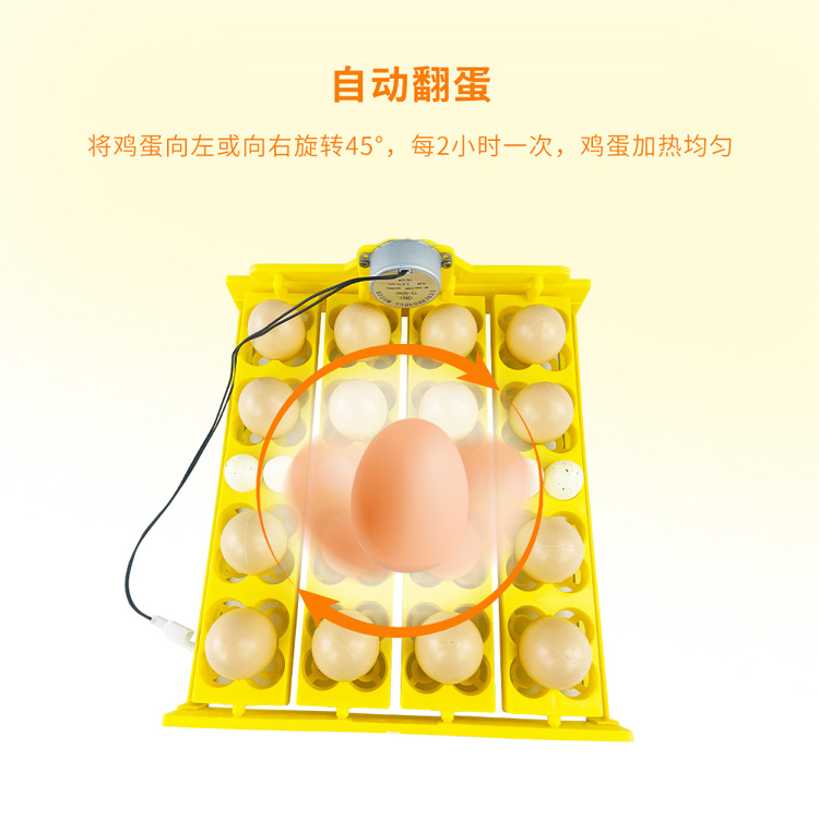72 Dispositivo de giro de huevo de Paloma de pájaro de codorniz 16 Flor de cuatro hojas incubadora multifunción