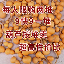 ������J�[������ְѼ��ֶ���Ȼ覴��Ӯ����Λρ����ͥ�ˌ��N��