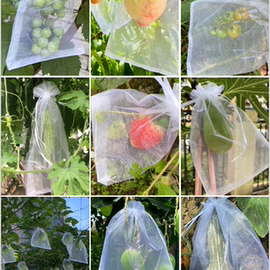 水果套袋防鸟防虫网袋西红柿番茄葡萄草莓无花果尼龙套袋保护