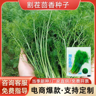 С�~����N�Ѷ�β��ո������N���ļ����N�����߲˷N�����ϷN��