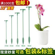 蝴蝶兰支撑杆绿植花苗盆栽植物支撑杆防倒伏固定支架爬藤架支撑架