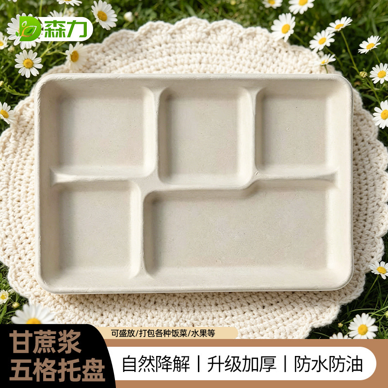 Disposable Biodegradable Large Five-Compartment Tray for Buffet Barbecue, Multi-Compartment Tray for Restaurant Meal Service, Biodegradable