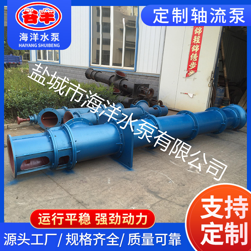 500ZLDB定制单基础20寸轴流泵大流量大功率水库排涝灌溉泵