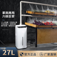 Iӝ߲ˮr[Côͷo늇FC