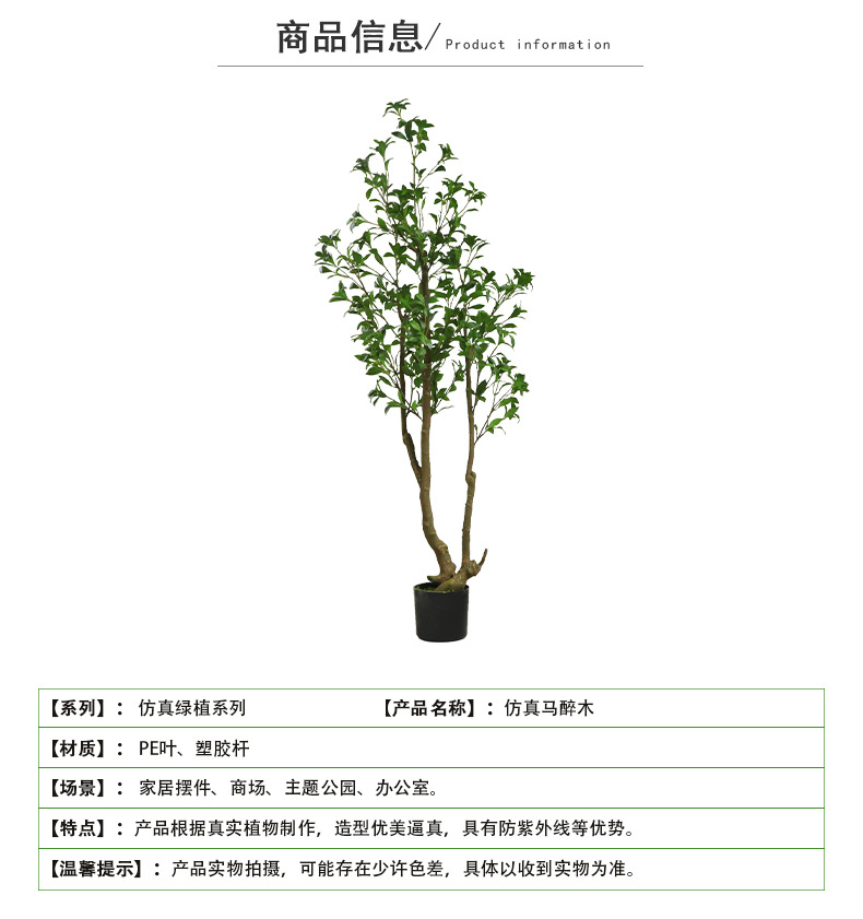 马醉木_03.jpg