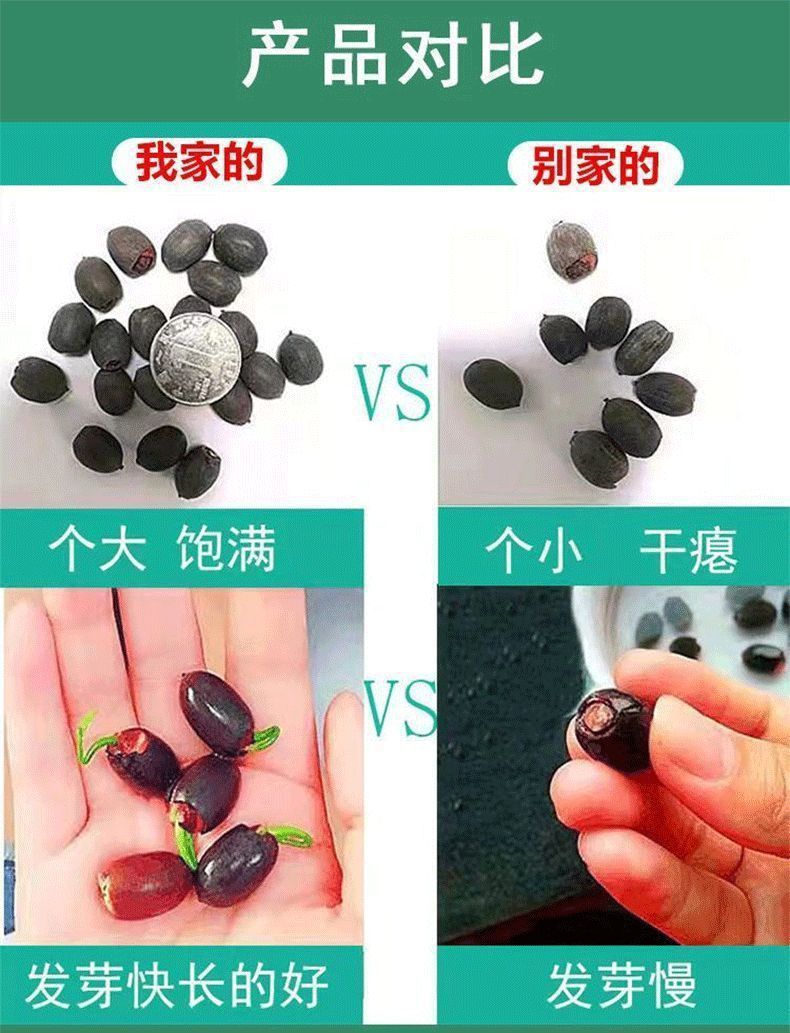 da441709-5471-4146-b76b-e63143b919ed.jpe