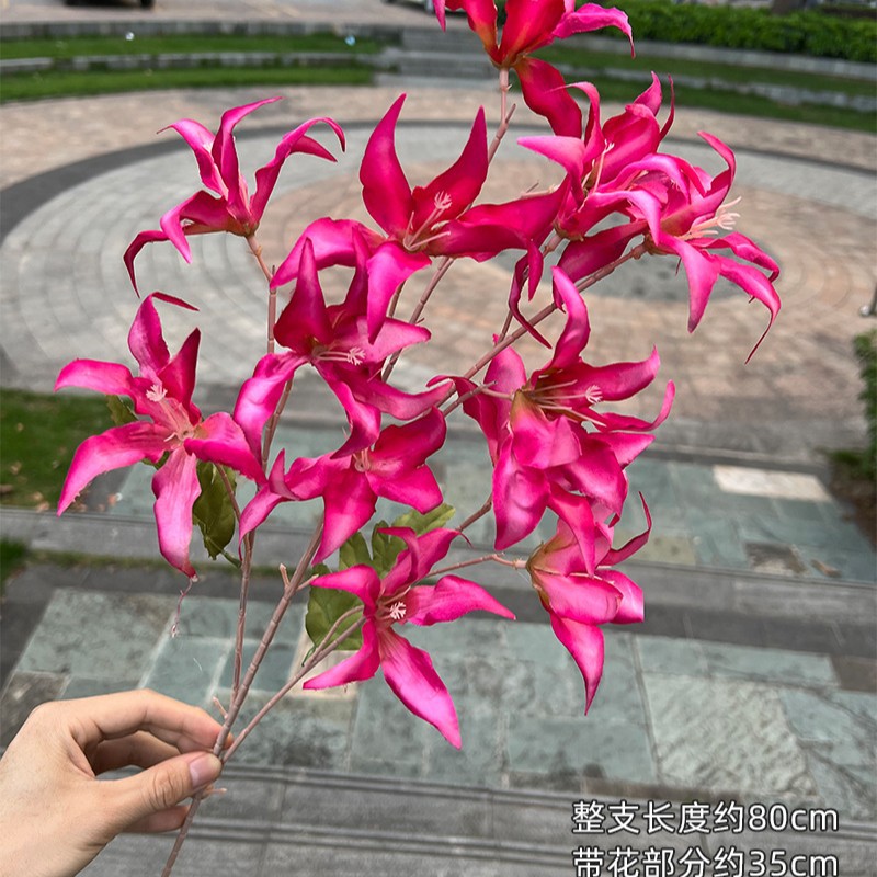 12-cabeza Lily Rose Red