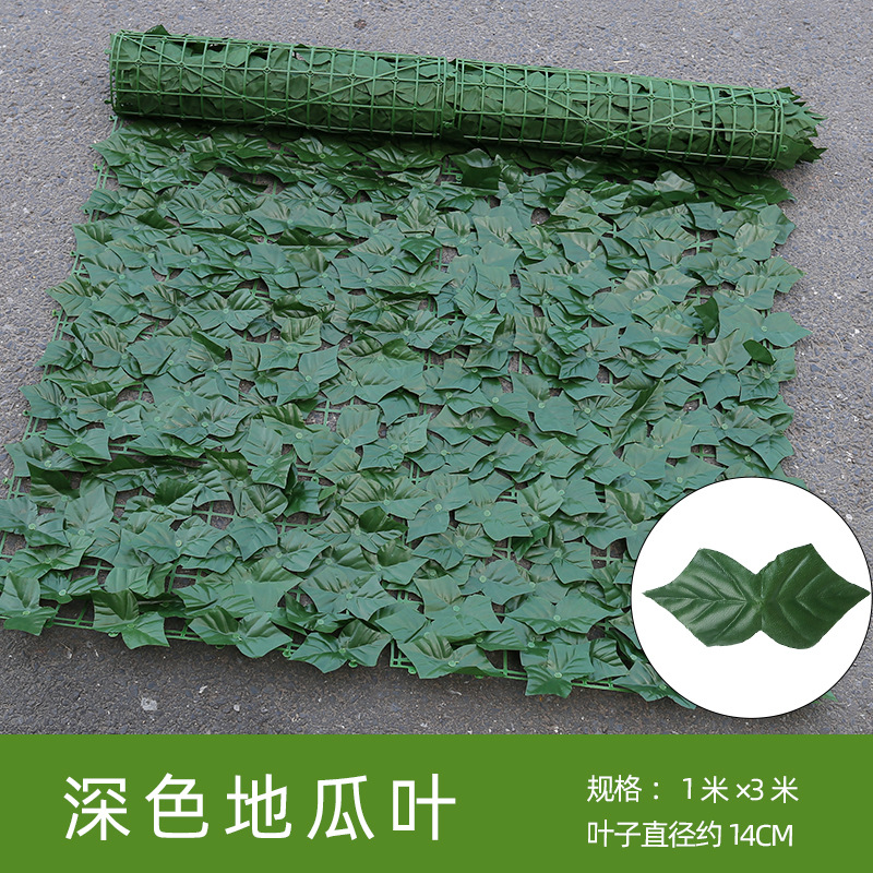 Hojas de batata oscuro