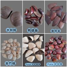 ��Ȼ�����֓u�DIY���ϰ� �����L⏒�� �ֹ������Ʒ���