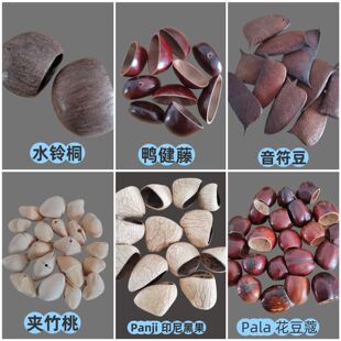 ��Ȼ�����֓u�DIY���ϰ� �����L⏒�� �ֹ������Ʒ���
