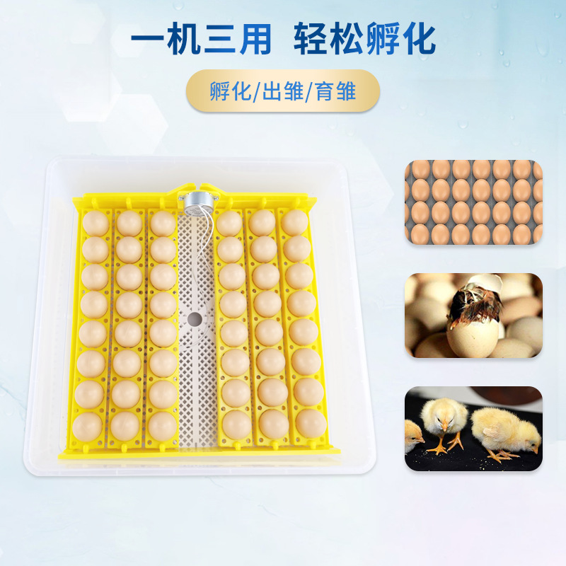 48 pequeña incubadora inteligente con un solo clic incubadora de pollo incubadora de huevos