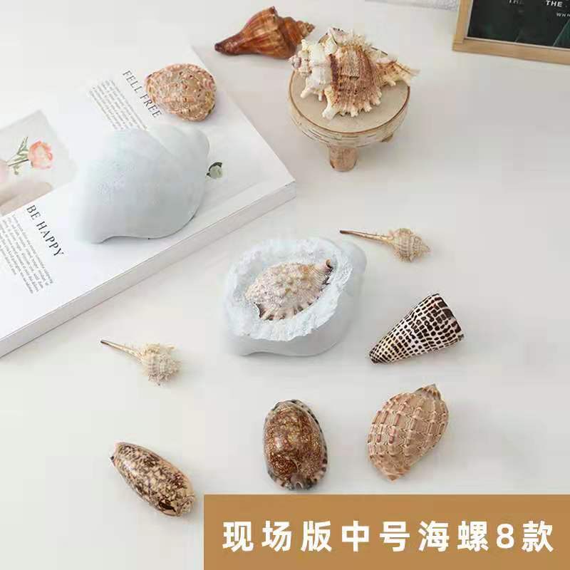 P081-36-Full 케이스 필드 에디션 미디엄-소라