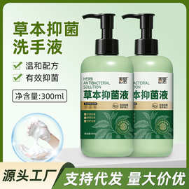 草本抑菌洗手液家用大容量清洁护理按压抑菌液瓶装300ml厂家批发